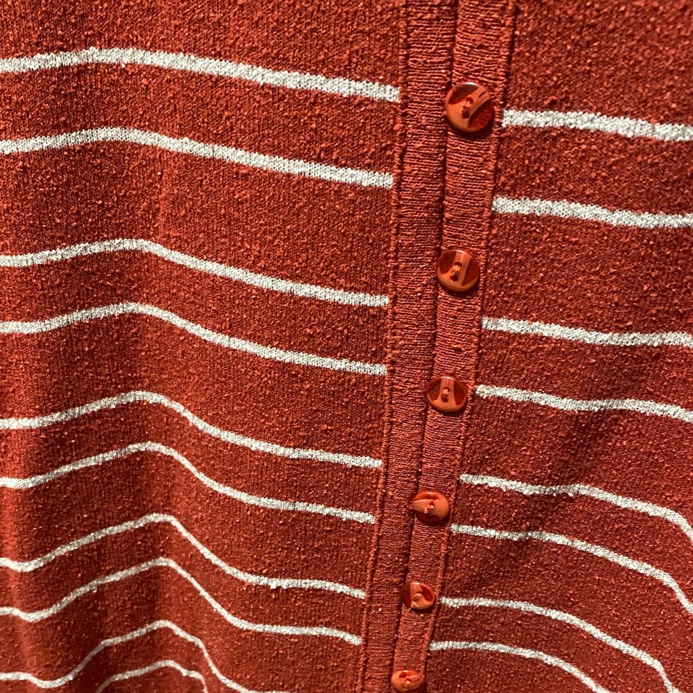 Dress Barn Woman vintage Rust Striped faux Button-Down plus size 3X silk Top - Picture 3 of 10